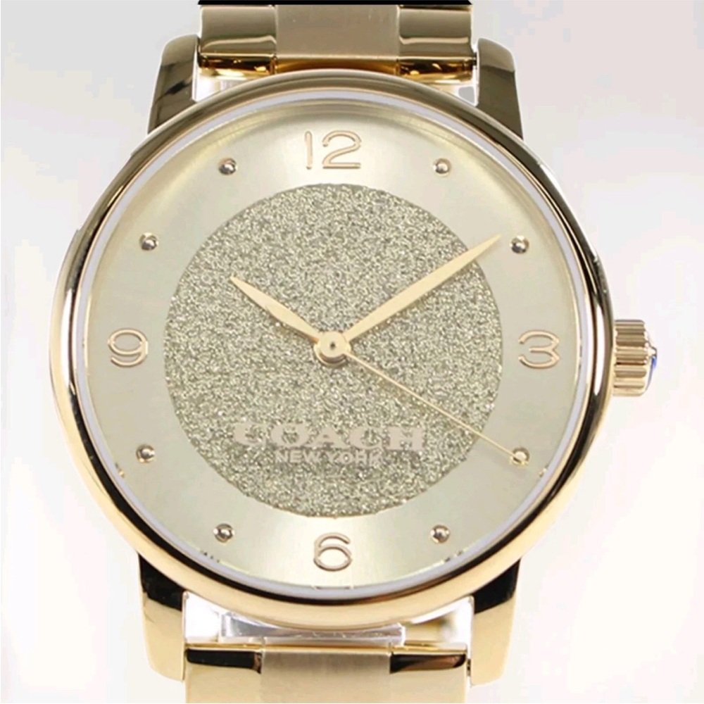Coach Gold Glitter Watch